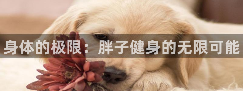 意昂4娱乐