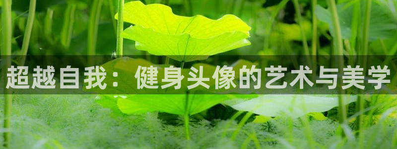 意昂4招商