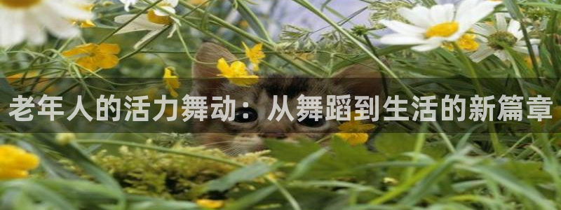 意昂4娱乐