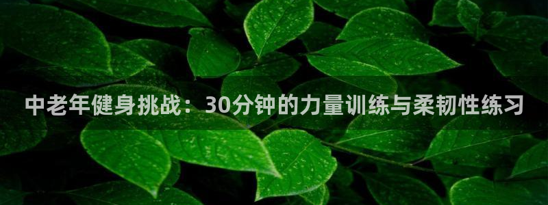 意昂4招商