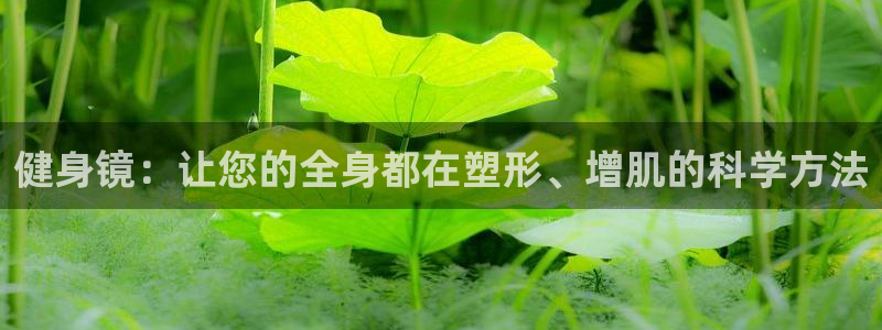 意昂4招商