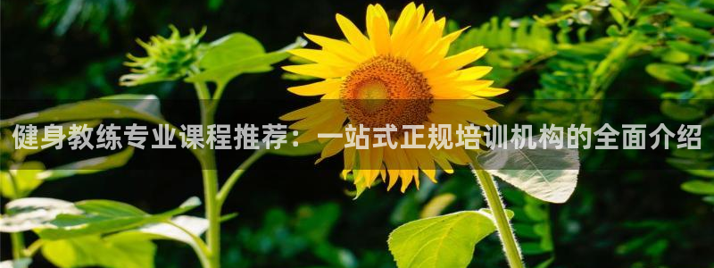 意昂4注册