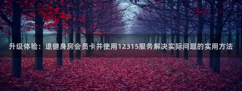 意昂4官方网站