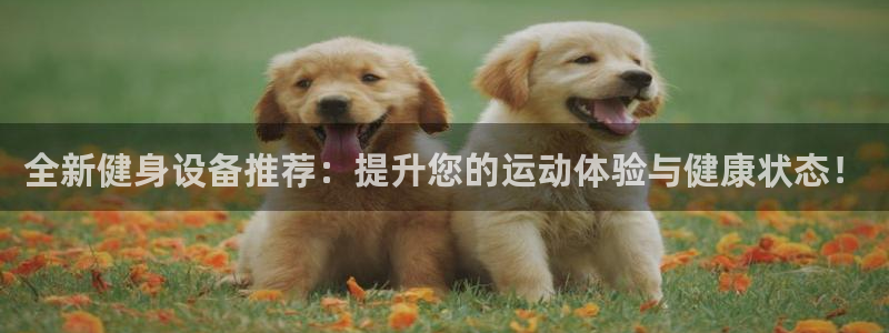 意昂4娱乐