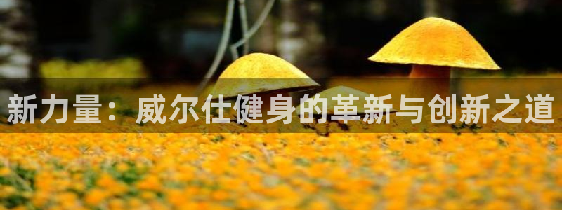 意昂4官网