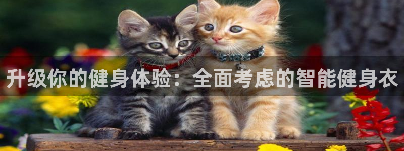 意昂4娱乐