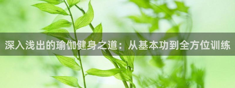 意昂4官方平台