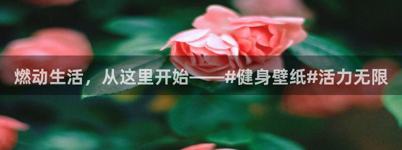 意昂4招商