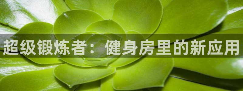 意昂4招商