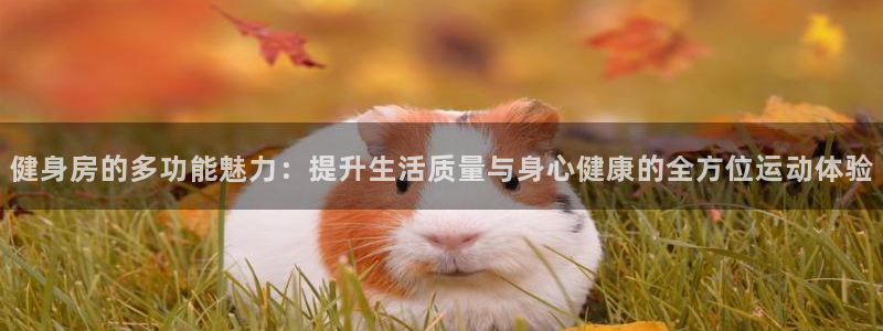 意昂4官方平台