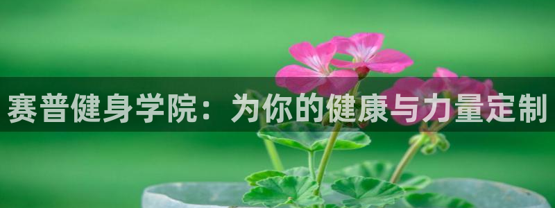 意昂4官方平台