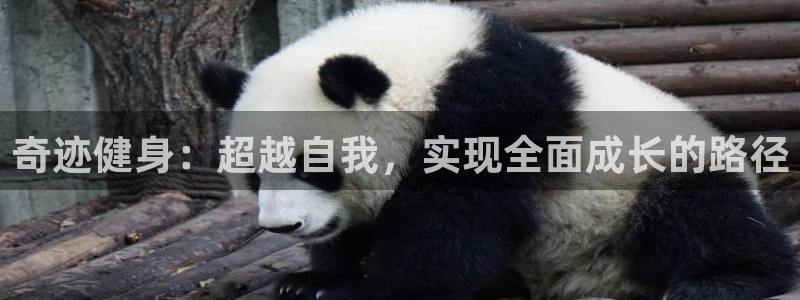 意昂4平台