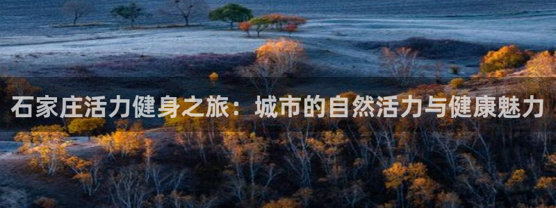 意昂4代理