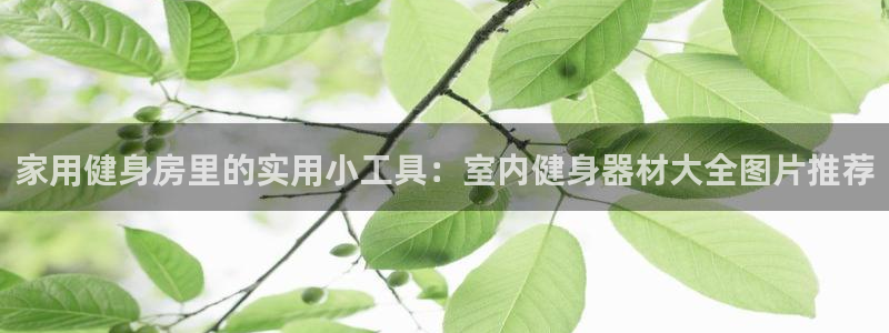 意昂4官方网站